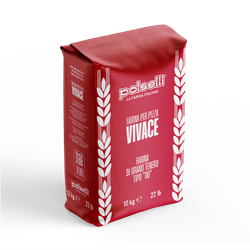 POLSELLI VIVACE 3d MOCK 2025